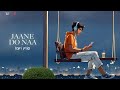 Jaane Do Naa Lofi Flip Asha Bhosle Shailendra Singh Saagar