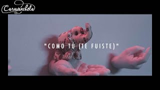 Como Tú (Te Fuiste) Music Video