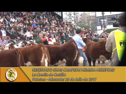 26-07-17 Jura Hembra Hereford - Palermo.