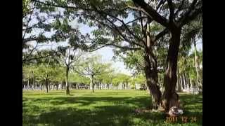 preview picture of video 'Khu công viên Văn Miếu TP.CaoLãnh Đồng Tháp'
