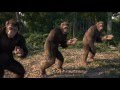 Harambe S Funeral LIT HD