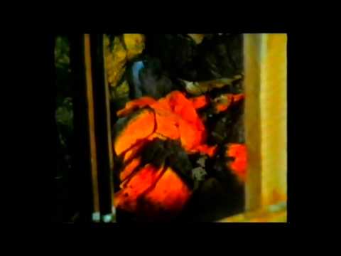 Mit der Kamera dabei - Feuerwache 1