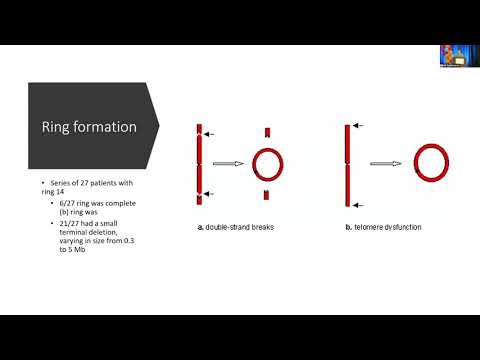 Genetics of Copy Number Variants