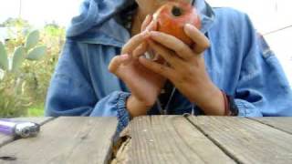 wake and bake and jill sobule Rock me to sleep cover