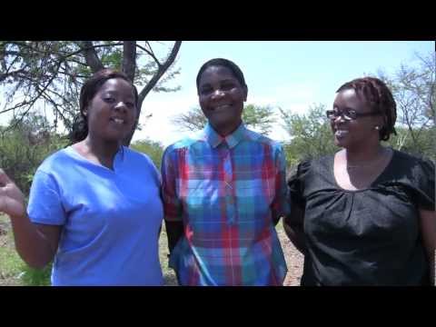 Greetings from Bulawayo to Chicago