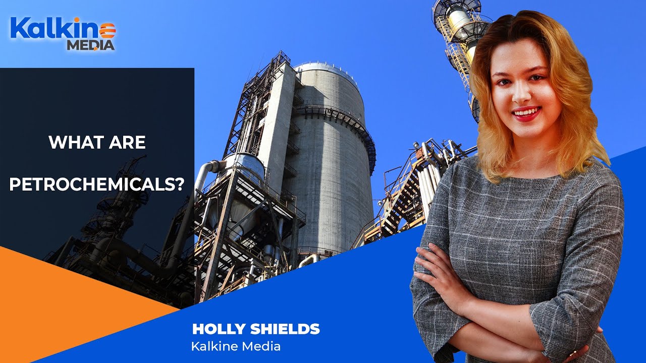 What are Petrochemicals ?