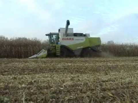 Van Ryckegem W.: Mais dorsen.