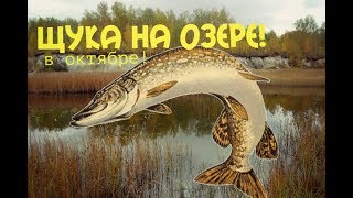 Ссылка