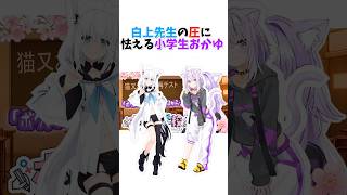白上先生の圧に怯える小学生おかゆ【猫又おかゆ/白上フブキ/ホロライブ/切り抜き】#shorts   #hololive