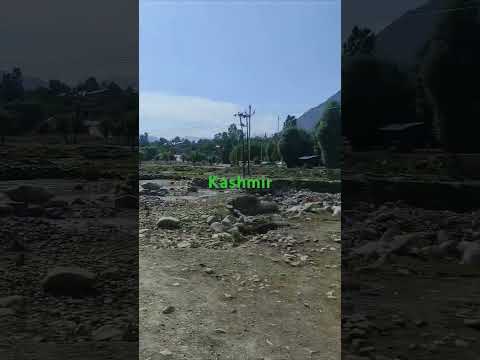 Reel tagged #video