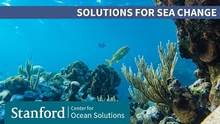 Solutions for Sea Change: Protecting our Ocean from Climate Change