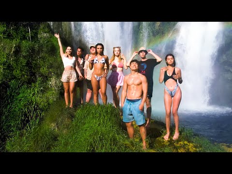 PALMY I DRINECZKI (Official Music Video)