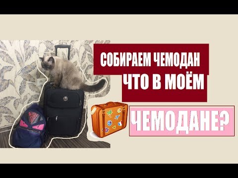 VLOG СОБИРАЕМ ЧЕМОДАН || Какие вещи взять на море?