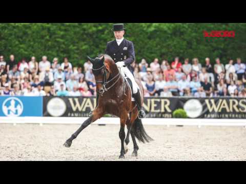 Voll des Lobes: Hubertus Schmidt über sein Spitzenpferd Imperio