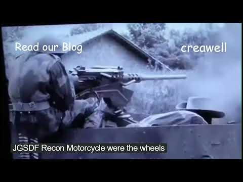 CBD for Cats Video Preview