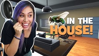 KILLING IT SOFTLY - Fly in the House