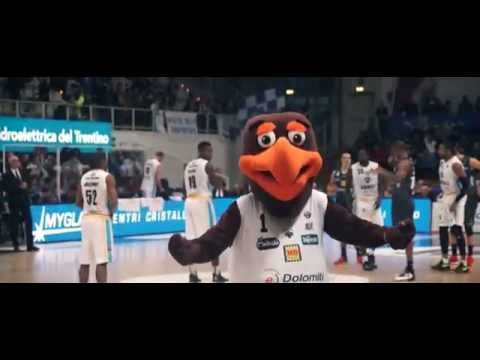 Mister V - VOLA AQUILA (Basket Trento)