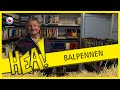 HEA! Balpennen verzameling