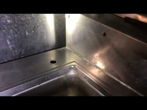 Restaurant Taken Over by German Cockroaches in Little Silver, NJ