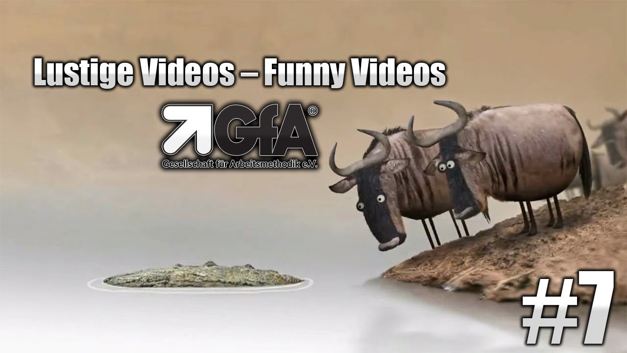 Entscheidung: Richtig Oder Falsch - Lustige Videos | GFA