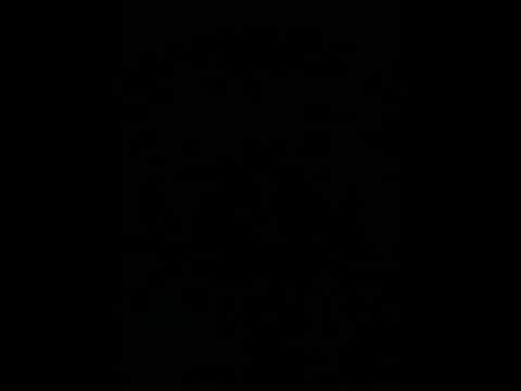 Miss Tammy 3 beautiful