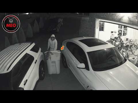 Incredible Moments Caught on Camera | Best Of Month (P41)