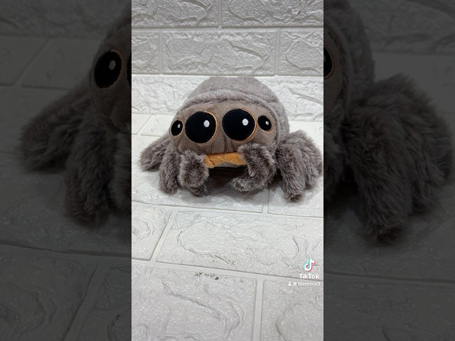 Vídeo relacionado con Zappi Co Peluche de Peluche de araña Suave para niños, Safari, Selva, Animal de Peluche (pequeño, 5-6 Pulgadas, 12-15 cm), Halloween Espeluznante Espeluznante