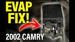 2002-2004 Camry Charcoal Evap Canister Replacement