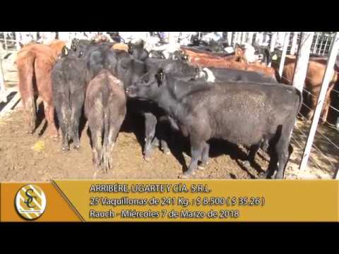 07-03-18 Venta de Hembras - Arribére, Ugarte y Cía. S.R.L. - Rauch