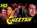 Cheetah 1994 Bollywood Full Movie Mithun Chakraborty Ashwini Bhave Prem Chopra चीता