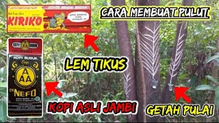 Download lagu HOW TO MAKE PULT FROM RAT GLUE MIXED WITH PULAI TREE SAP #howtomakepulut mp3 Download lagu HOW TO MAKE PULT FROM RAT GLUE MIXED WITH PULAI TREE SAP #howtomakepulut mp3