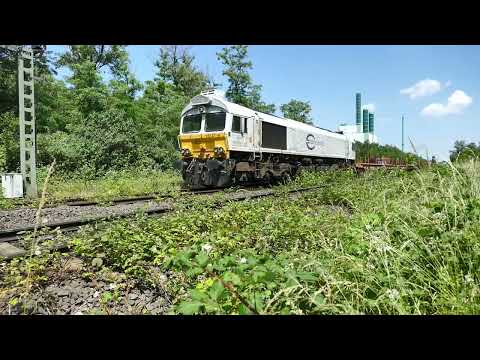 Duisburg, Honnenpfad, 12-06-2023, Euro Cargo Rail 266 411-8