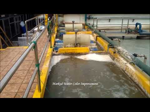 Caso de Éxito BioCleaner - Selecta Ice Cream Factory Phillipines