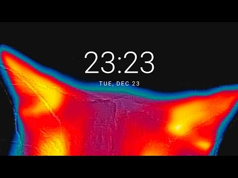 Pilgrim - Hardtek Session (2025-12-23)