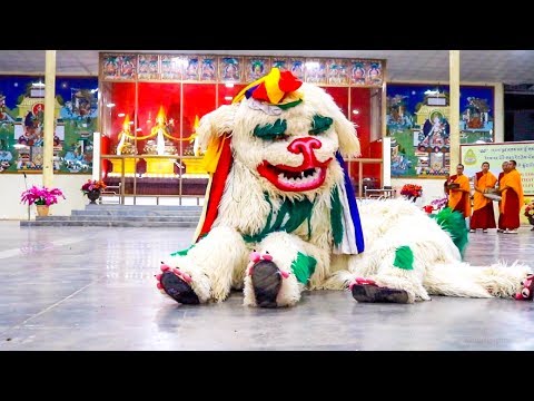 SNOWLION DANCE