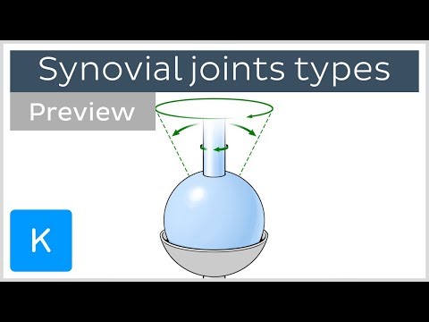 Types of synovial joints (preview) - Human Anatomy | Kenhub