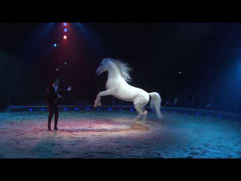 CIRCUS KNIE - Official Showreel 2011 DE