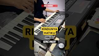 Download lagu Rindunya hatiku dangdut mp3 Download lagu Rindunya hatiku dangdut mp3