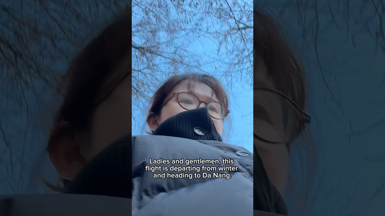 여름 빌리기. 겨울에 가는 여름휴가 #다낭자유여행 #다낭여행 #휴가브이로그