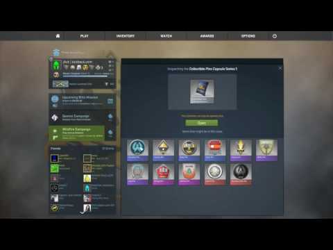 Steam Community :: Video :: CSGO Pin Capsule Opening!