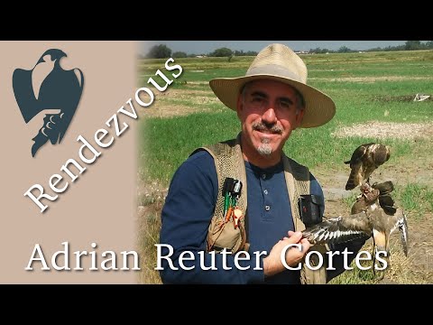 Falconry Heritage Session - Adrian Reuter Cortes - The Archives of Falconry, 2022 Spring Rendezvous
