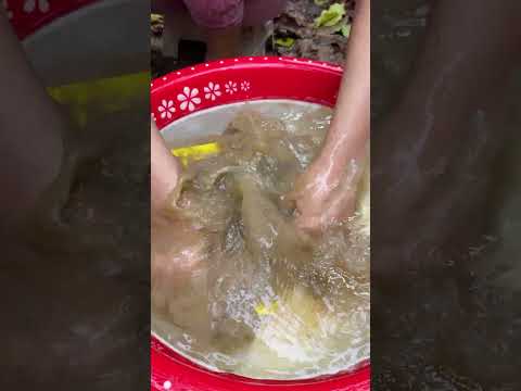 What's in the mud? 🍬🍬 Oddly satisfying asmr #viral #shorts #174