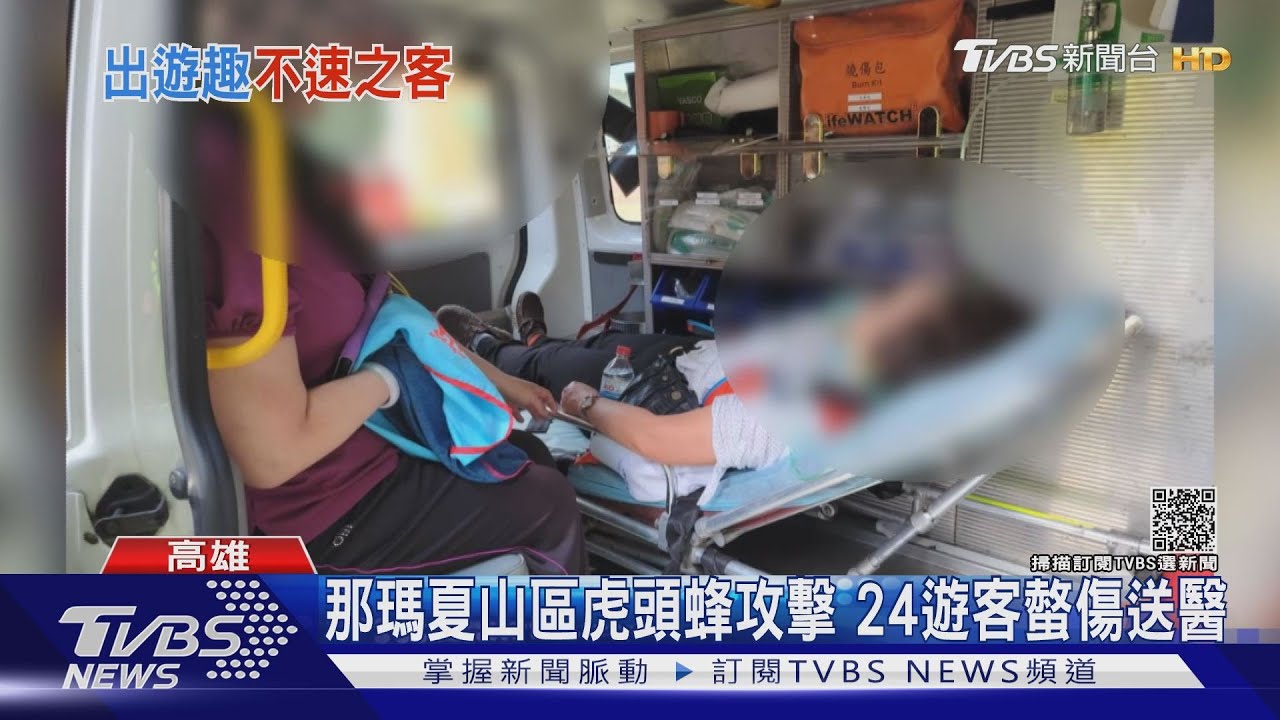 那瑪夏山區虎頭蜂攻擊 24遊客螫傷送醫