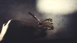 Bardo State - Mariposa video