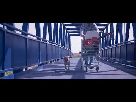 MLV A001 131530 C00053