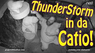 Catio, What Cats Do At Night - Thunderstorm Edition