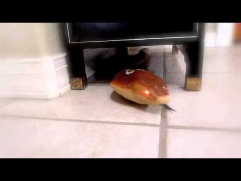 R/C King Cobra Snake