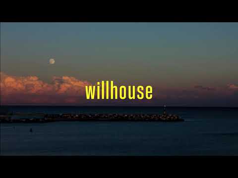 Willhouse X Pager the Sloth - Many Moons