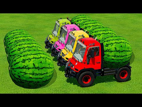 TRANSPORT WATERMELONS WITH COLORED MINI TRUCKS - Farming Simulator 22