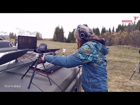 Men-D & Mendel Collective LIVE SET - Terminal Stream